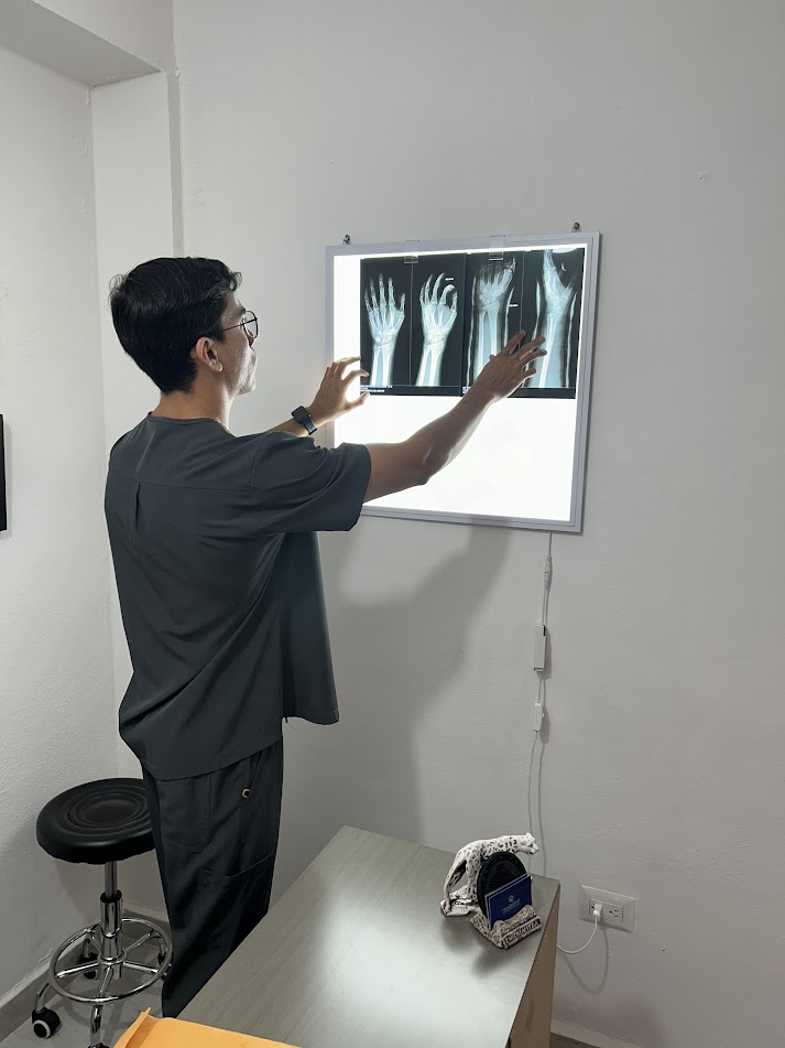 Reabilité Fisioterapia