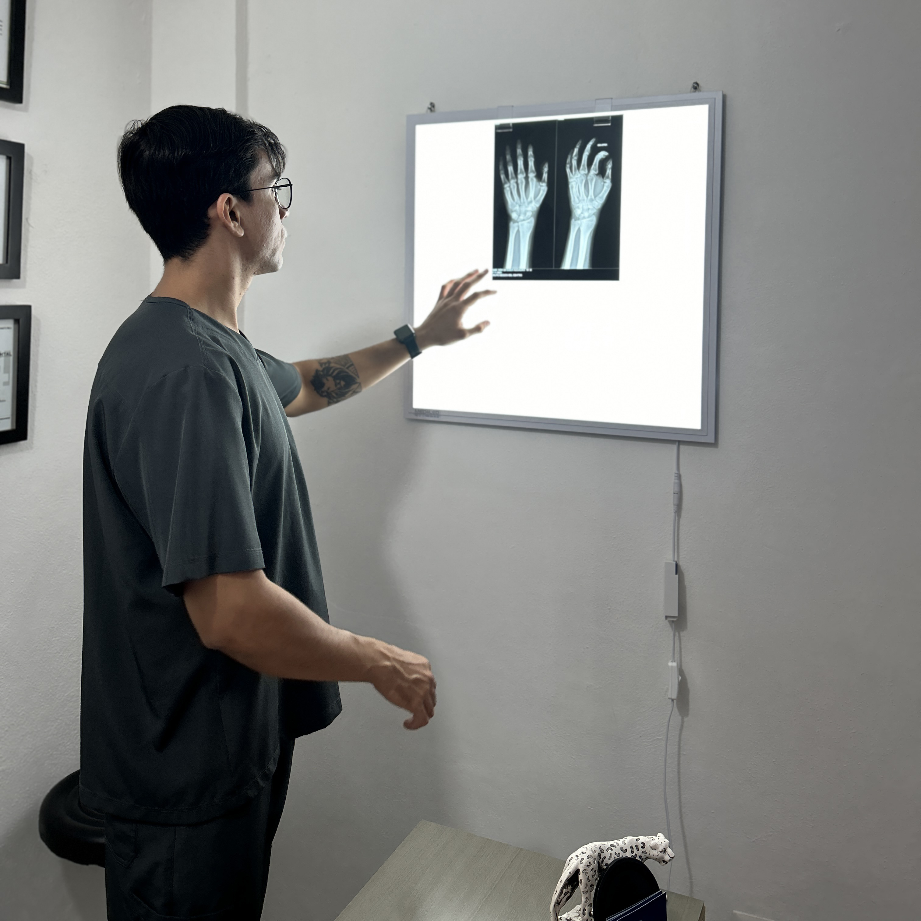 Imagen ilustrativa de datos curiosos